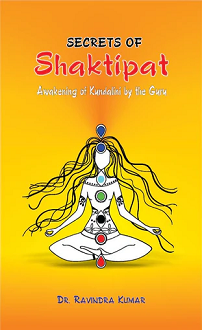 Secrets of Shaktipat: Awakening of Kundalini by the Guru (paperback) - Image 2
